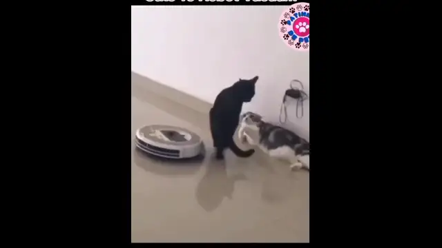 video_2025-05-21_23-17-26